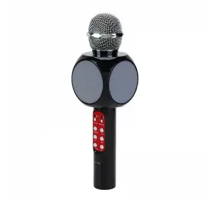 Bluetooth Karaoke Microphone — WS-1816