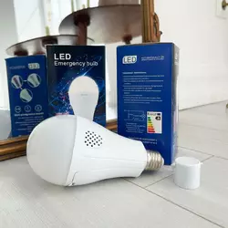 Светодиодная лампа LED E27 20W с аккумулятором Светодиодная лампа LED E27 20W с аккумулятором